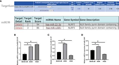 MiR-223-3p attenuates the migration and invasion of NSCLC cells by regulating NLRP3